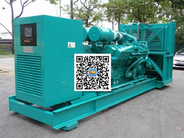 津南租赁发电机-康明斯发电机性价比还是比较高的