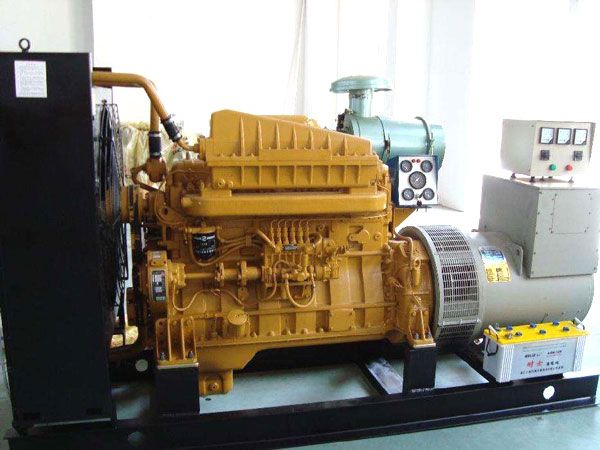 津南有哪些有效的方法可以预防柴油发电机组的蓄电池出现硫化现象？